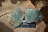 Natural Jade Specimens x 12 From Swaziland