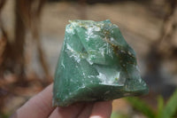 Natural Jade Specimens x 12 From Swaziland