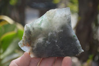 Natural Jade Specimens x 12 From Swaziland