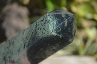 Polished Stromatolite Jasper Prisms x 2 From Madagascar