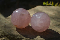 Polished Star Rose Quartz Spheres x 2 From Madagascar