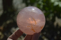 Polished Star Rose Quartz Spheres x 2 From Madagascar