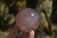 Polished Star Rose Quartz Spheres x 2 From Madagascar