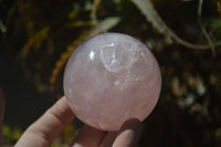 Polished Star Rose Quartz Spheres x 2 From Madagascar