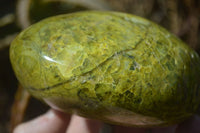 Polished Green Opal Standing Free Forms x 2 From Madagascar