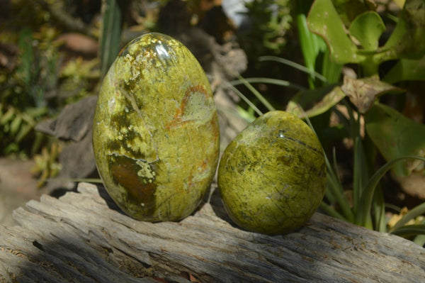 Polished Green Opal Standing Free Forms x 2 From Madagascar