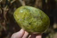 Polished Green Opal Standing Free Forms x 2 From Madagascar