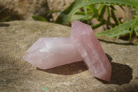 Polished Rose Quartz Points x 3 From Madagascar