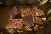 Natural Nguni Jasper Cobbed Specimens x 6 From Prieska, South Africa