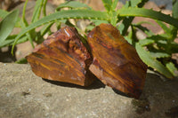 Natural Nguni Jasper Cobbed Specimens x 6 From Prieska, South Africa