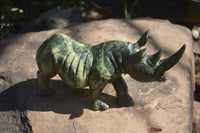 Polished Leopard Stone Rhino Carving x 1 From Zimbabwe