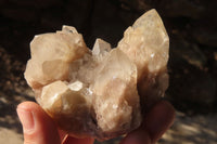 Natural Smokey Quartz Clusters x 6 From Luena, Congo