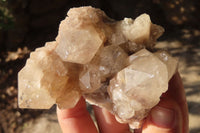 Natural Smokey Quartz Clusters x 6 From Luena, Congo