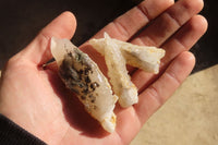 Natural Drusy Quartz Coated Calcite Pseudomorph Specimens x 20 From Alberts Mountain, Lesotho