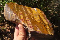 Polished On One Side Nguni Jasper Specimens x 2 From Prieska, South Africa