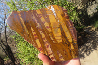 Polished On One Side Nguni Jasper Specimens x 2 From Prieska, South Africa