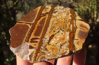 Polished On One Side Nguni Jasper Specimens x 2 From Prieska, South Africa