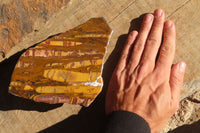 Polished On One Side Nguni Jasper Specimens x 2 From Prieska, South Africa