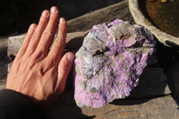 Natural Stichtite & Serpentine Specimens x 2 From Barberton, South Africa