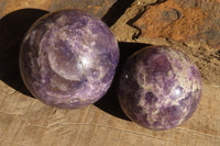 Polished Lepidolite Spheres x 3 From Madagascar