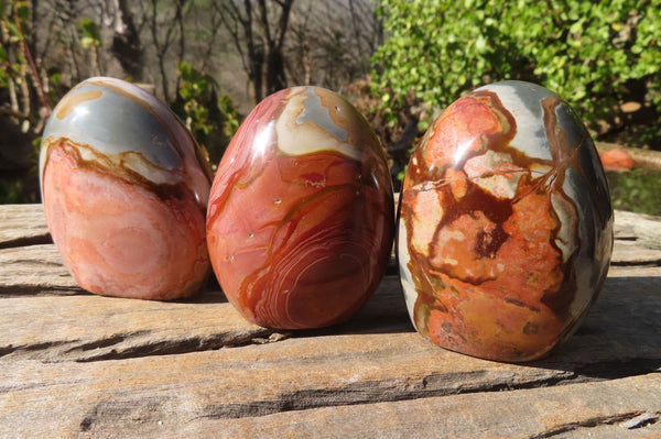 Polished Polychrome Jasper Standing Free Forms x 6 From Madagascar