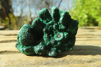 Natural Silky Malachite Specimens x From Kasompe, Congo