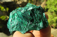 Natural Silky Malachite Specimens x From Kasompe, Congo