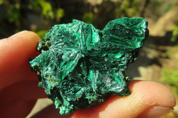 Natural Silky Malachite Specimens x From Kasompe, Congo