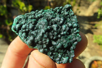 Natural Silky Malachite Specimens x From Kasompe, Congo