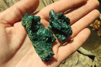 Natural Silky Malachite Specimens x From Kasompe, Congo