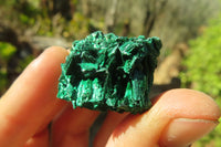 Natural Silky Malachite Specimens x From Kasompe, Congo