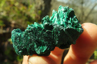 Natural Silky Malachite Specimens x From Kasompe, Congo