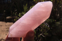 Polished Rose Quartz Crystals x 3 From Madagascar