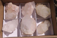 Polished Clear Quartz Clusters x 6 From Madagascar