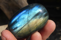 Polished Labradorite Galet / Palm Stones x 12 From Tulear, Madagascar