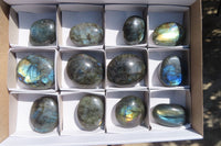 Polished Labradorite Galet / Palm Stones x 12 From Tulear, Madagascar