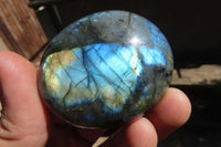 Polished Labradorite Galet / Palm Stones x 12 From Tulear, Madagascar