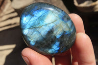 Polished Labradorite Galet / Palm Stones x 12 From Tulear, Madagascar