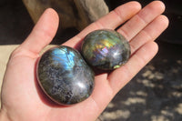 Polished Labradorite Galet / Palm Stones x 12 From Tulear, Madagascar