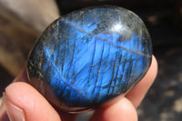 Polished Labradorite Galet / Palm Stones x 12 From Tulear, Madagascar