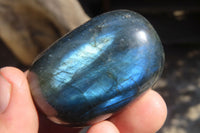 Polished Labradorite Galet / Palm Stones x 12 From Tulear, Madagascar