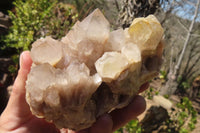 Natural Smokey Quartz Clusters x 2 From Luena, Congo