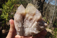 Natural Smokey Quartz Clusters x 2 From Luena, Congo