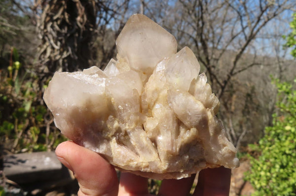 Natural Smokey Quartz Clusters x 2 From Luena, Congo