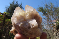 Natural Smokey Quartz Clusters x 2 From Luena, Congo