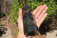 Polished Labradorite Point x 1 From Tulear, Madagascar