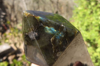 Polished Labradorite Point x 1 From Tulear, Madagascar