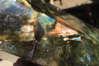 Polished Labradorite Point x 1 From Tulear, Madagascar