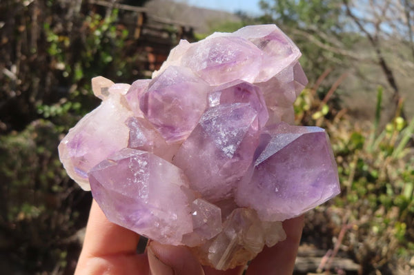 Natural Jacaranda Amethyst Clusters x 2 From Mumbwa, Zambia