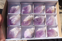 Polished Jacaranda Amethyst Crystals x 12 From Mumbwa, Zambia